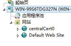 IIS8.0集中式SSL证书管理: SSL可扩展性和可管理性